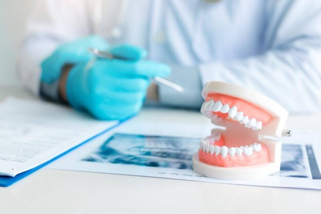 6 Types of Dental Dentures a gloved dentist sits in front of a model of a mouth while reading paperwork about the types of dentures
