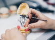 a dental professional works on model of a mouth and teeth and discussing to colleagues about false teeth options for patients