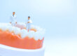 two people figurines stand in a bottom mouth model while doctor explains tips for maintaining healthy teeth and gums