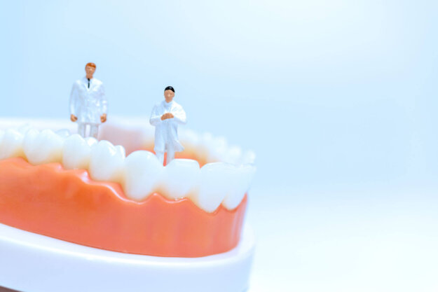 Top Tips for Maintaining Healthy Teeth and Gums two people figurines stand in a bottom mouth model while doctor explains tips for maintaining healthy teeth and gums